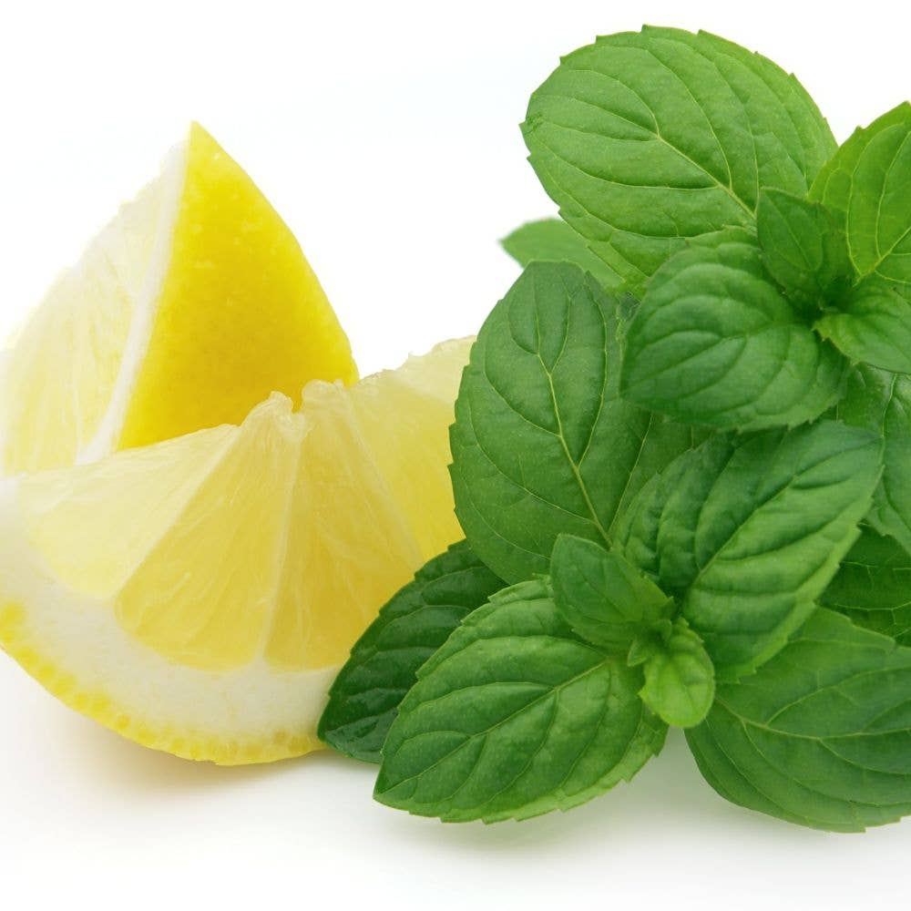 Lemon Mint Leaf Wooden Wick Candle
