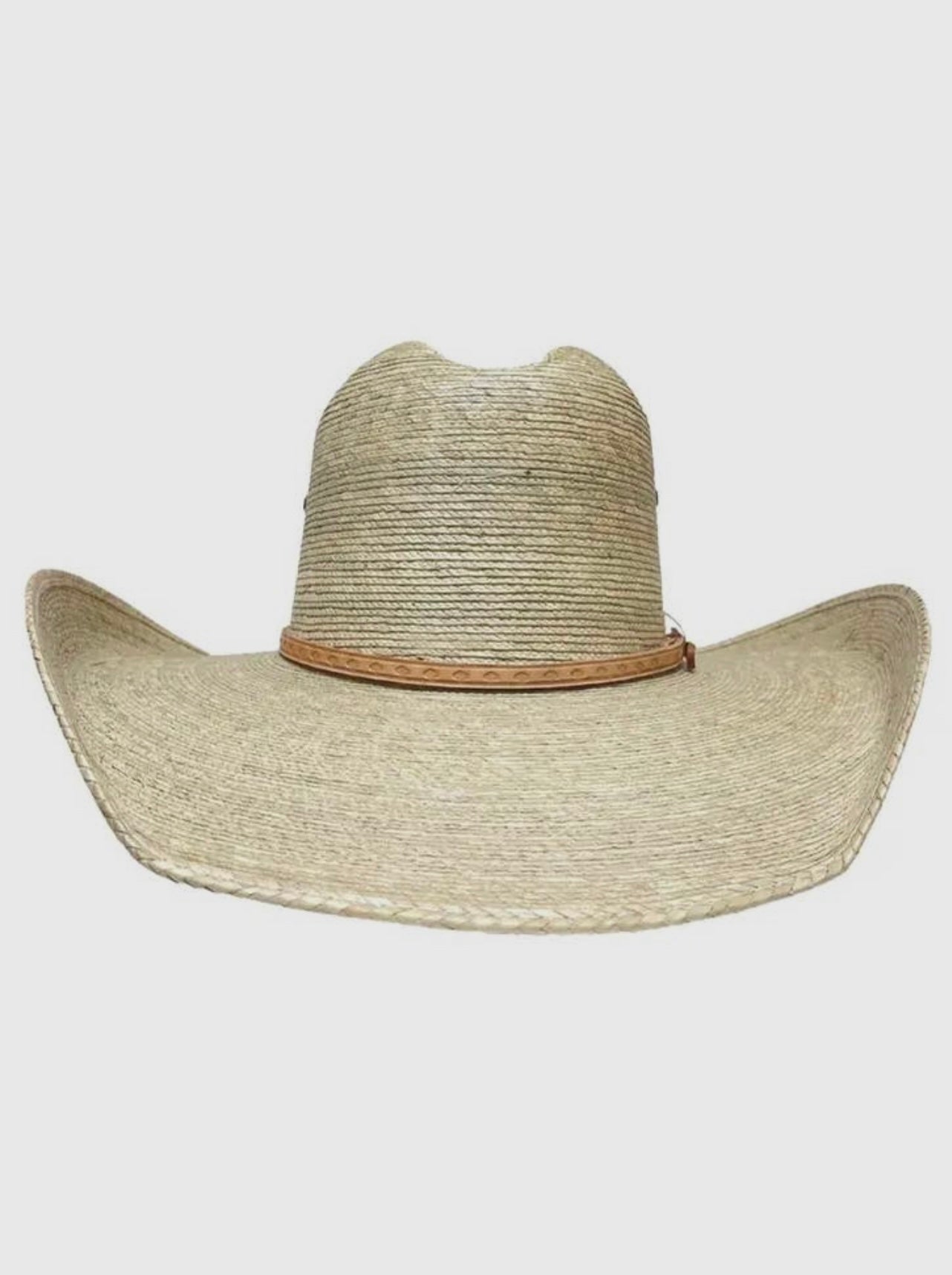 Rango Cowboy Hat